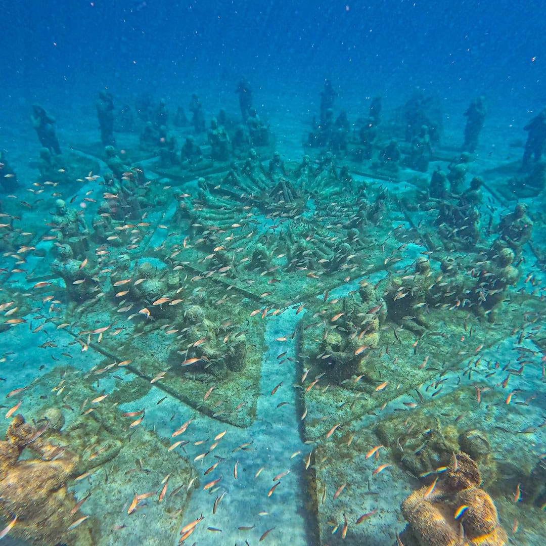 Snorkeling in Saint Maarten