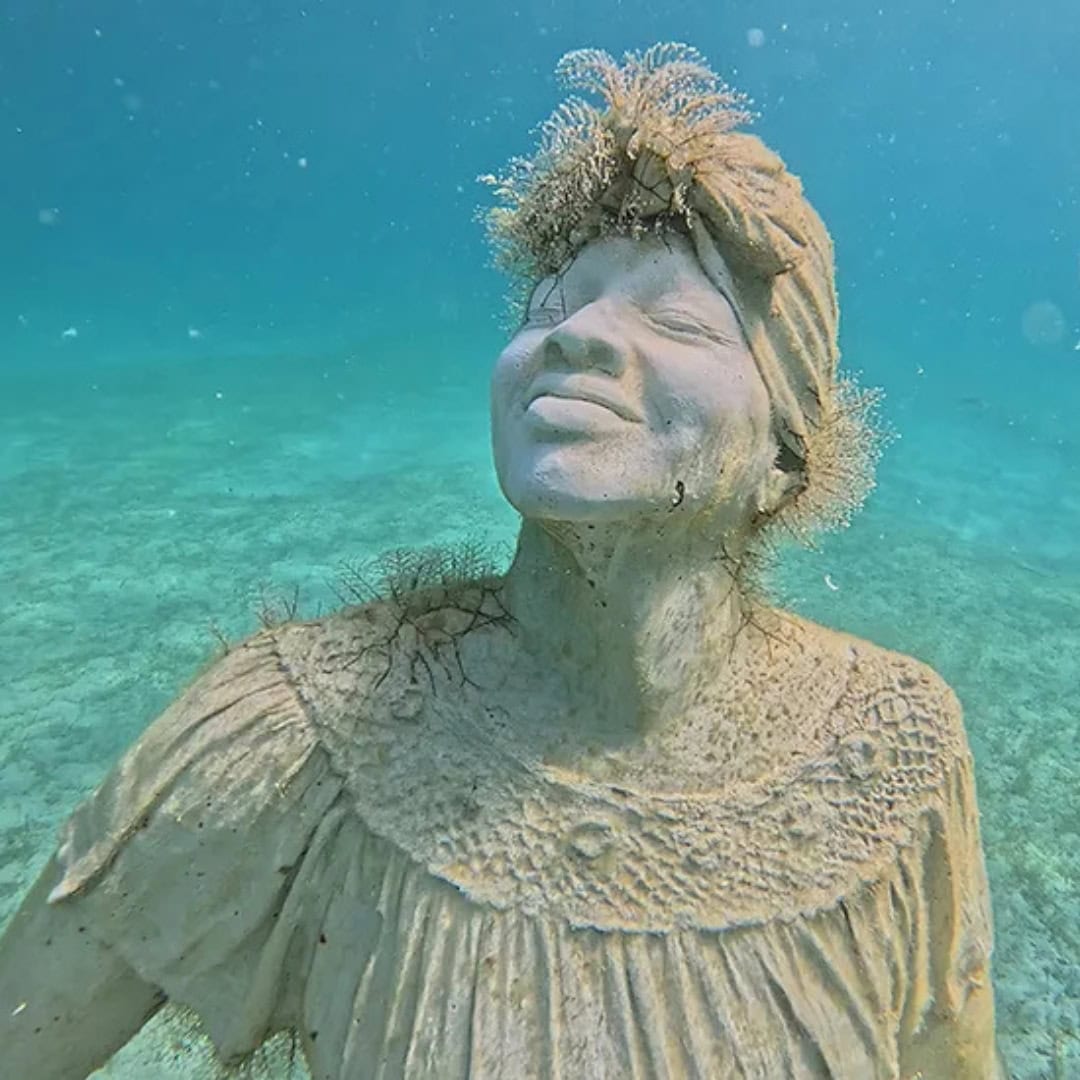 Snorkeling in Saint Maarten