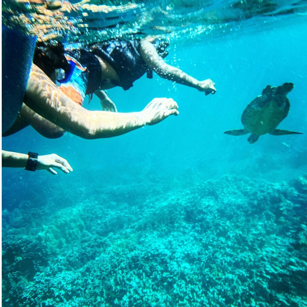 Snorkeling in Saint Maarten