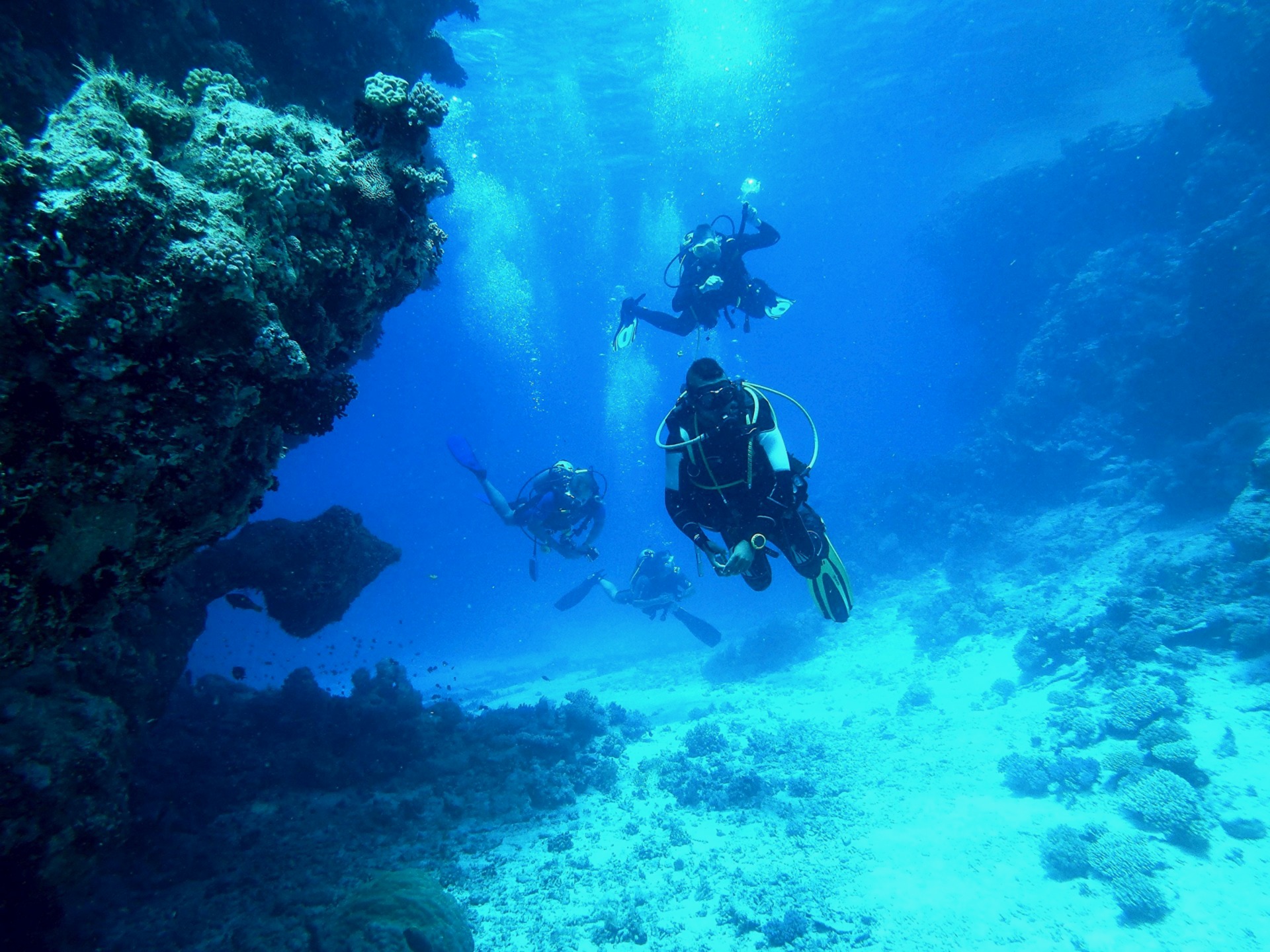 22298-dive-813028_1920