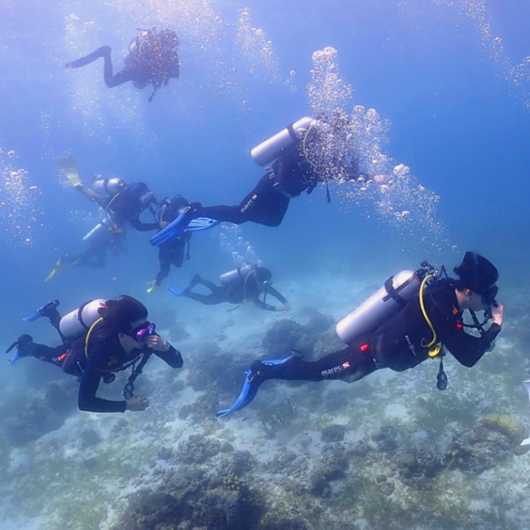 Rendezvous Scuba Diving